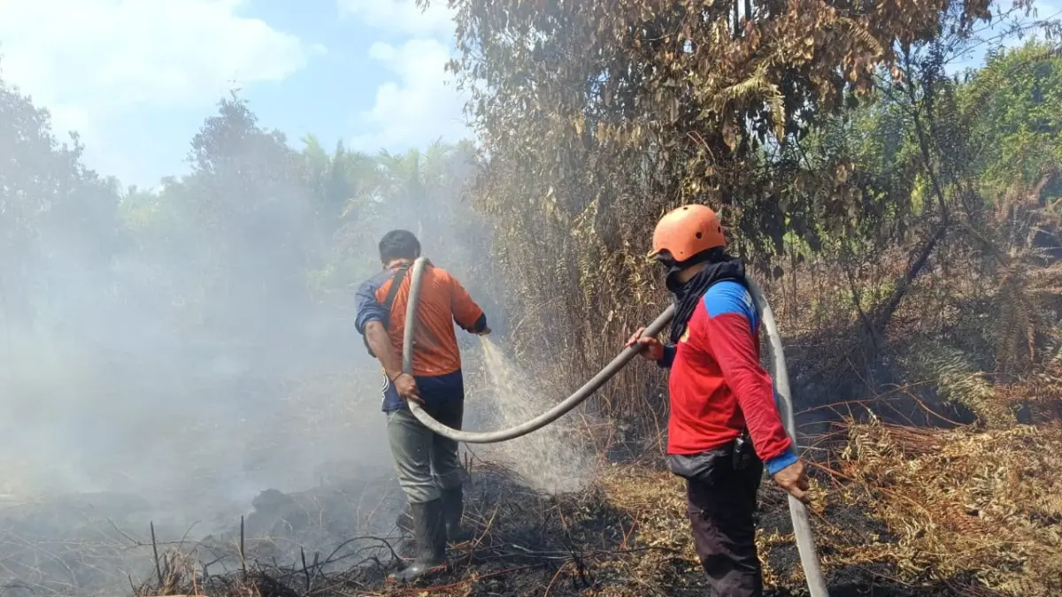 Kebakaran Lahan di wilayah Desa Eka Bahurui, Kecamatan Mentawa Baru Ketapang, baru-baru ini. (BPBD Kotim)