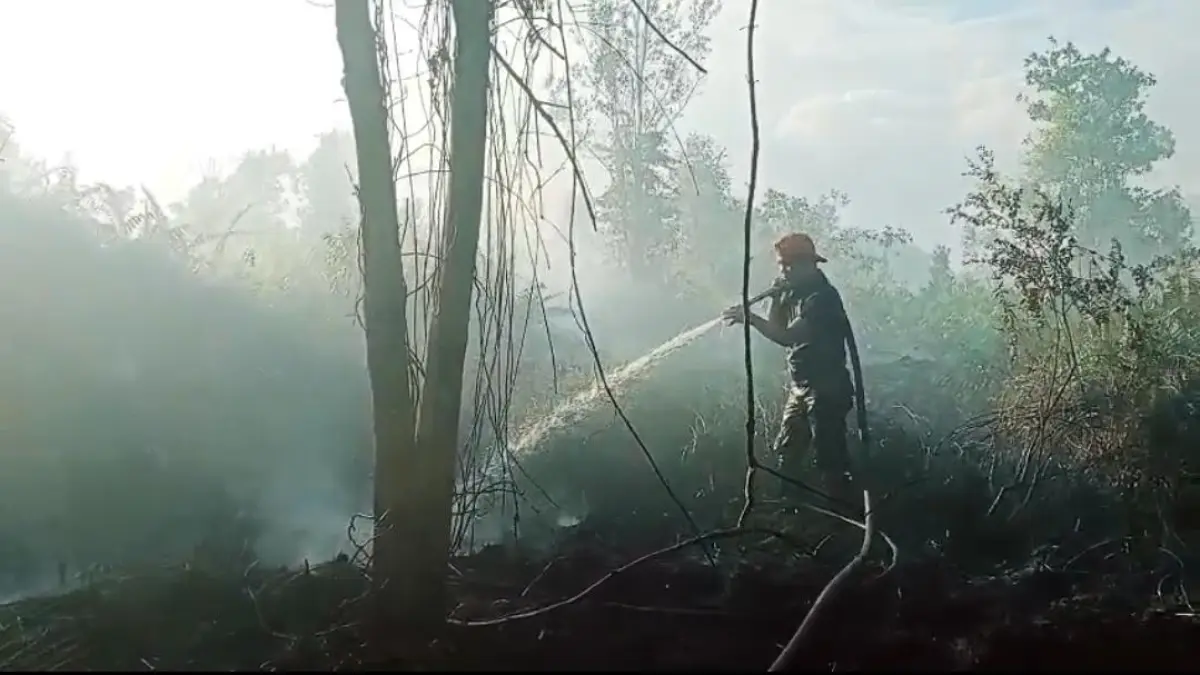 Kebakaran lahan di Kotim yang terjadi beberapa hari terakhir makin sering terjadi dan sejumlah titik sulit diakses. BPBD Kotim pun meminta bantuan helikopter pembom air untuk menanganinya. (BPBD Kotim)&nbsp;