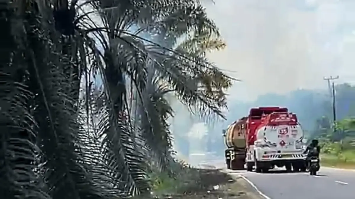 Kebakaran lahan kembali terjadi di Kabupaten Kotawaringin Timur. Kali ini, api membakar lahan di pinggir Jalan Tjilik Riwut, jalur penghubung Sampit–Kota Besi, Rabu (8/7/2026). (Warga/Radar Sampit)&nbsp;