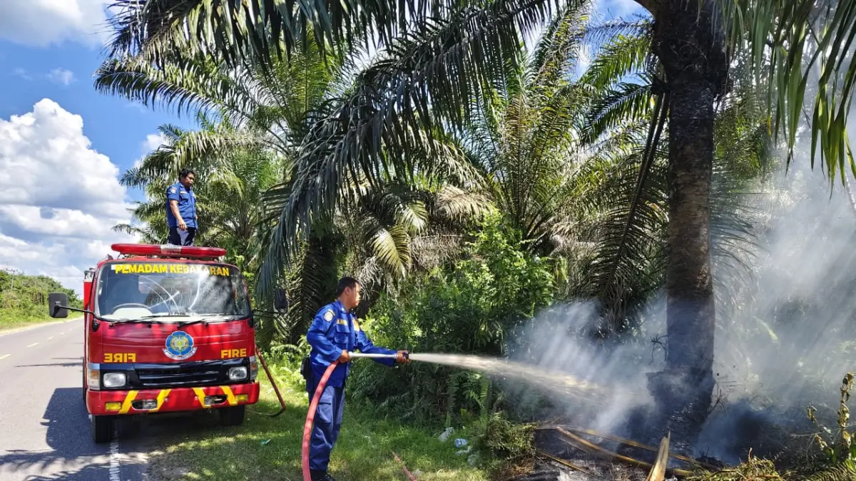 Petugas Disdamkarmat Kotim saat memadamkan api yang membakar tepi Jalan Tjilik Riwut, Sampit - Kota Besi, Kabupaten Kotawaringin Timur, Rabu (8 /7/2026). (Disdamkarmat Kotim)&nbsp;