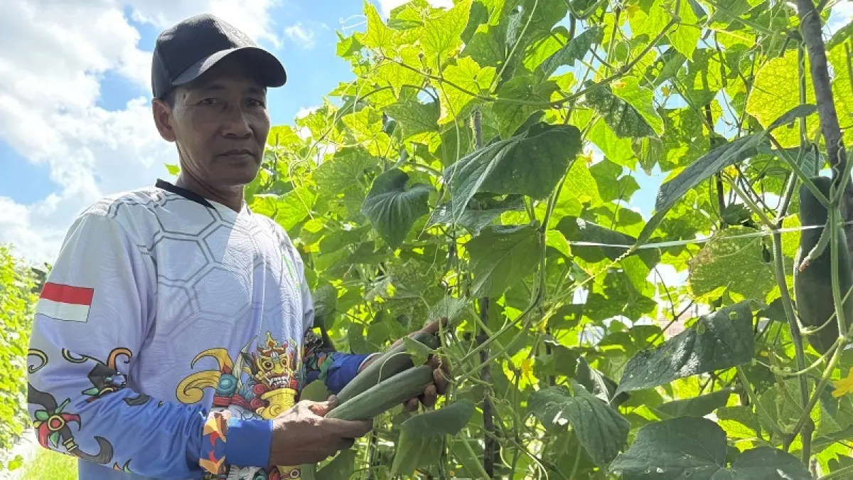 Muhammad Taufik dengan hasil panennya, di lahan pertania sayur di kawasan Jalan SPG, Sampit. (yuni/radarsampit)