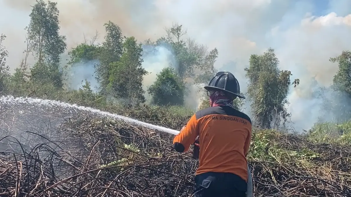 Penanganan kebakaran hutan dan lahan di Kecamatan Kumai dan Kecamatan Arut Selatan, Kabupaten Kotawaringin Barat, Kamis 9 Juli 2026.  (BPBD KOBAR) 