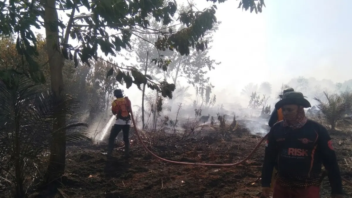 Penanganan karhutla oleh BPBD Kabupaten Kotawaringin Barat yang terjadi di beberapa wilayah, Sabtu 11 Juli 2026. (BPBD KOBAR/RADAR SAMPIT)&nbsp;