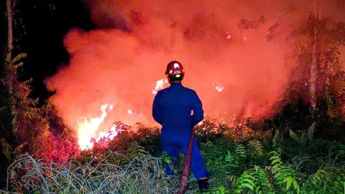 Kebakaran lahan berada dekat dengan permukiman warga di Jalan MT Haryono Barat, Kecamatan Mentawa Baru Ketapang, Kabupaten Kotawaringin Timur, Minggu malam (13/7/2026). (Disdamkarmat Kotim/Radar Sampit)&nbsp;