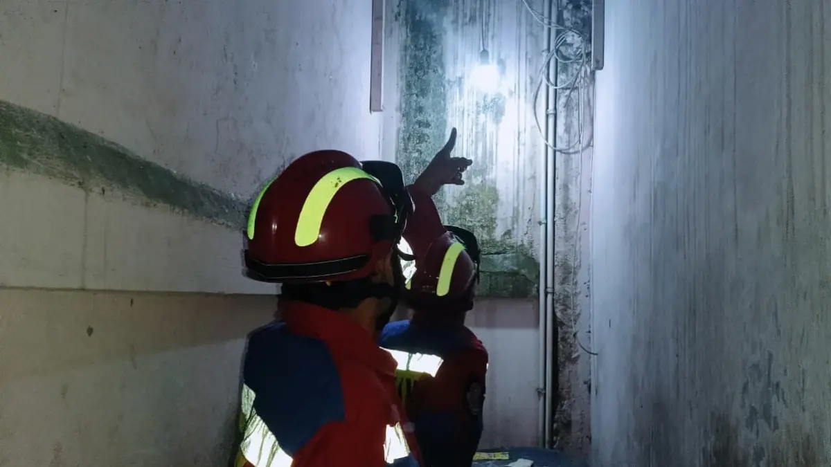 Petugas Disdamkarmat Kotim tiba di lokasi menunjukkan titik keberadaan ular sebelum petugas datang. (Disdamkarmat Kotim)&nbsp;