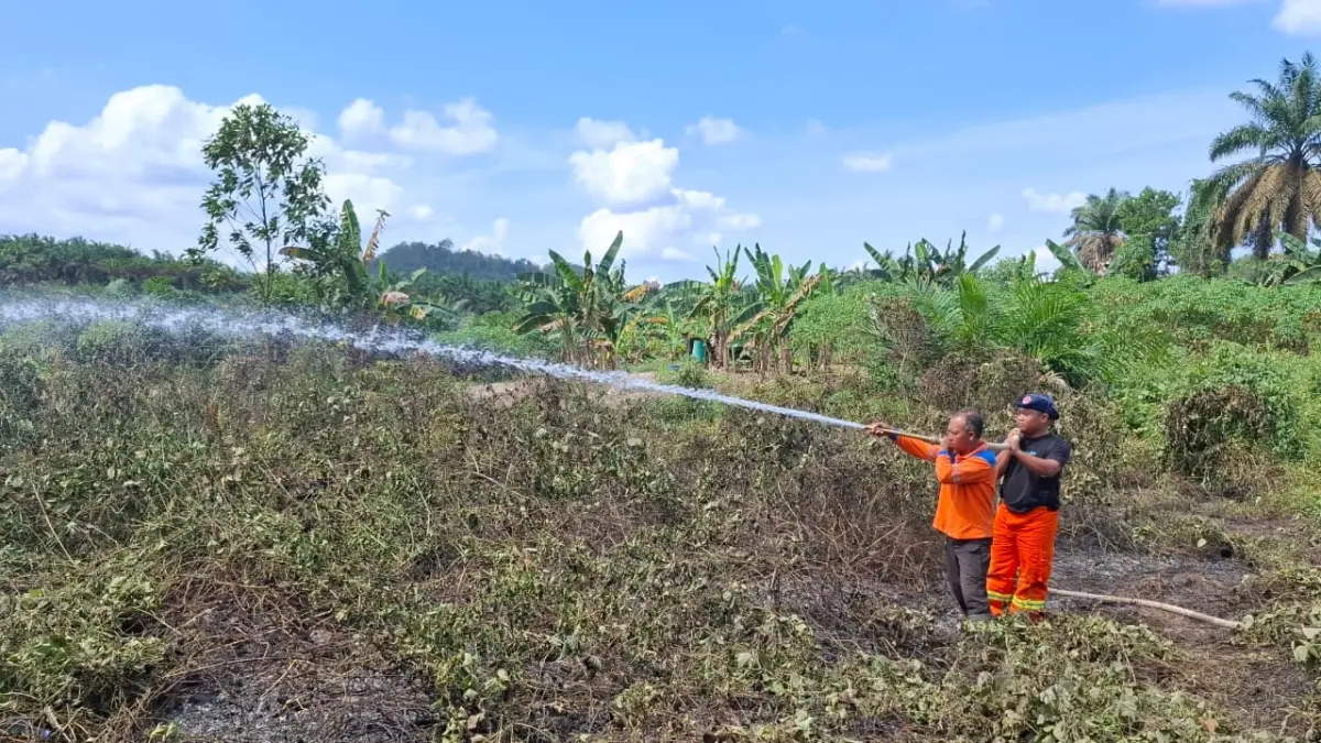 Petugas memadamkan api yang melalap lahan di SP 1 Desa Purwareja, Kecamatan Sematu Jaya, Minggu (12/7). &nbsp;(RIA/RADAR SAMPIT)&nbsp;