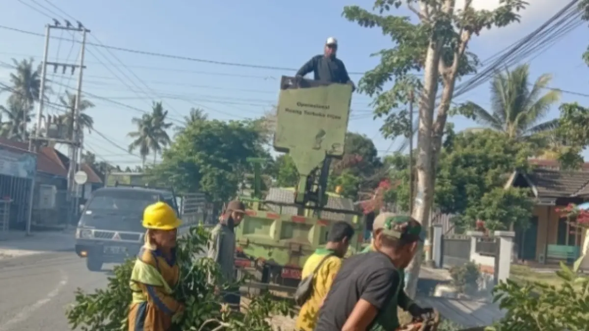 Pemangkasan pohon di Jalan Ahmad Wongso, Kelurahan Madurejo, Kecamatan Arut Selatan, Kabupaten Kobar, belum lama ini.&nbsp; (ist)&nbsp;