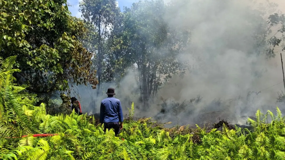Kebakaran lahan di wilayah Baamang Hulu, Kecamatan Baamang, &nbsp;belum lama ini. (Disdamkarmat Kotim)