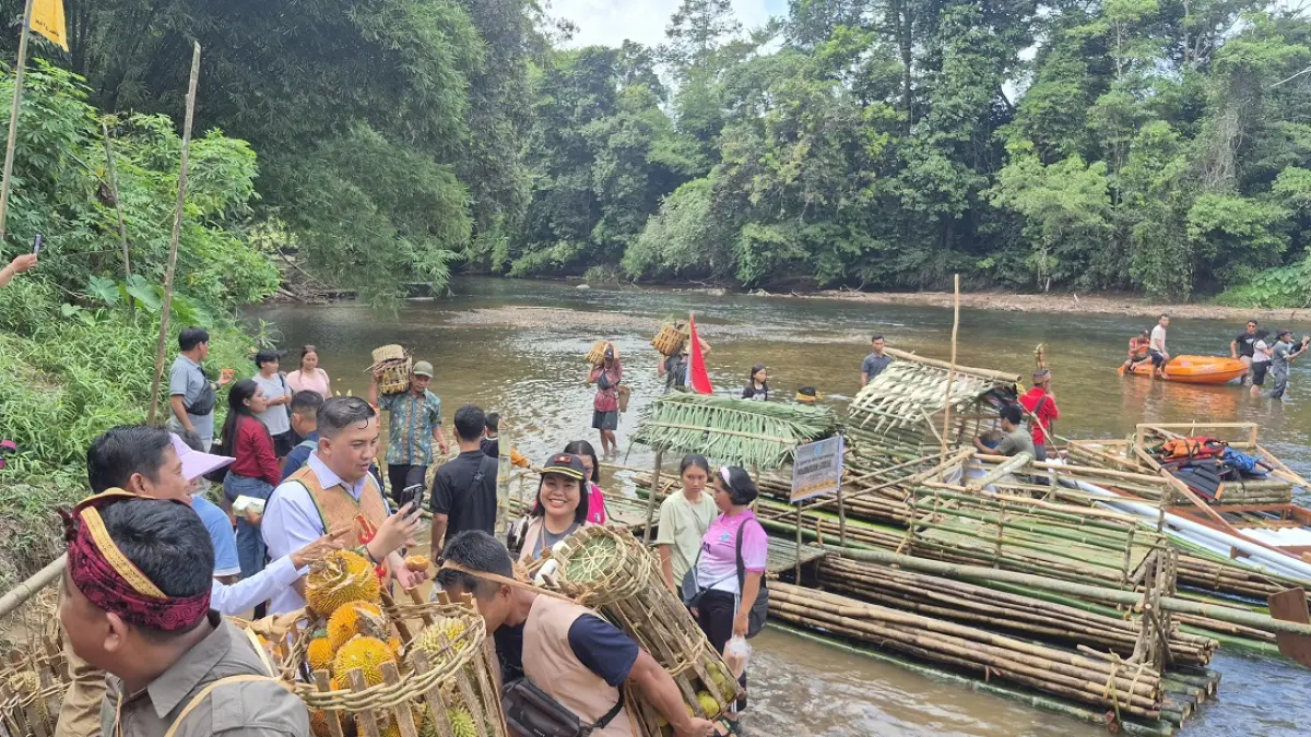 masyarakat Kecamatan Delang dalam menghidupkan kembali tradisi adat Maonjuan Sorah sebagai warisan budaya leluhur. 