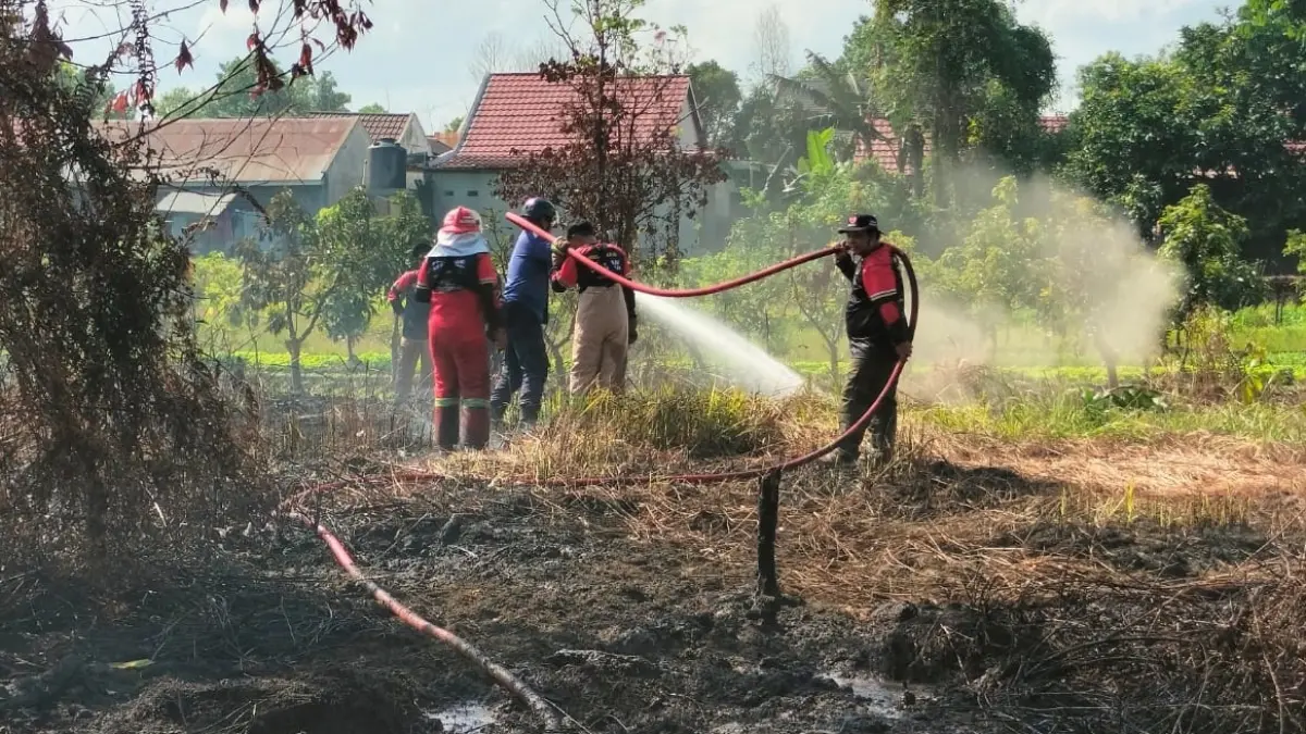 Pemadaman Karhutla di wilayah Kelurahan Mentawa Baru Hilir, Kecamatan MB Ketapang, Kotim. (Minggu 19/7). (tono/radarsampit)