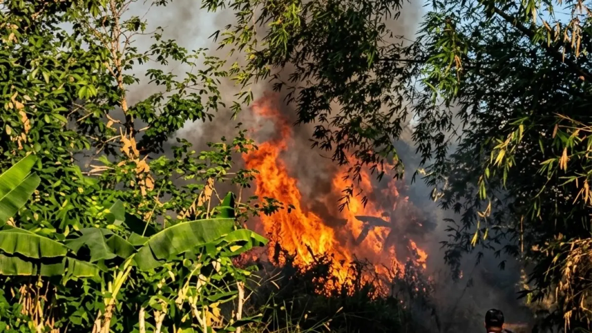 Kebakaran hutan dan lahan mulai merambah area dekat permukiman di Kota Pangkalan Bun, Kabupaten Kotawaringin Barat. (koko/radar sampit) 