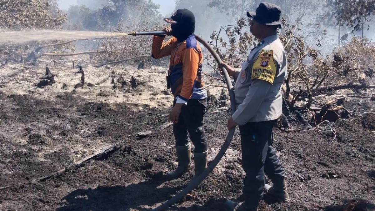 Upaya pemadaman lahan yang terbakar di Palangka Raya, Kalimantan Tengah (Kalteng) oleh petugas gabungan. Selain menyasar lahan kosong, kebakaran lahan juga mengancam perkebunan sawit milik petani lokal. (istimewa/BPBD Palangka Raya)