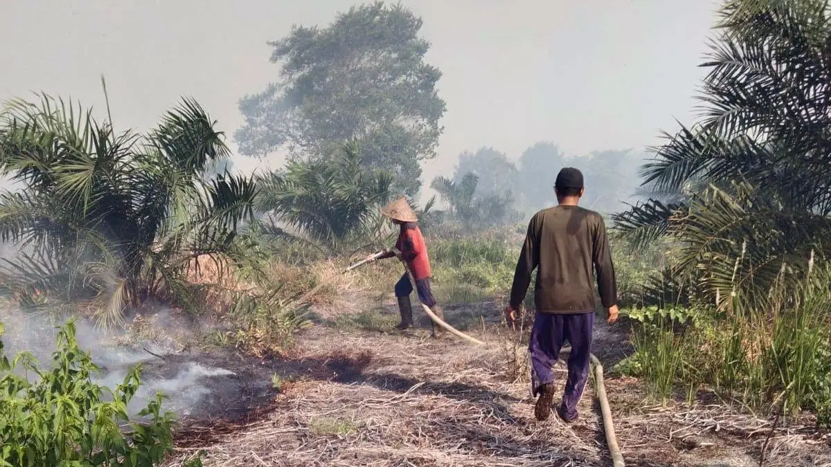 Petani sawit di Desa Babirah, Kecamatan Pulau Hanaut, berupaya memadamkan api yang membakar kebiuh kelapa sawitnya. (Warga/Radar Sampit)&nbsp;