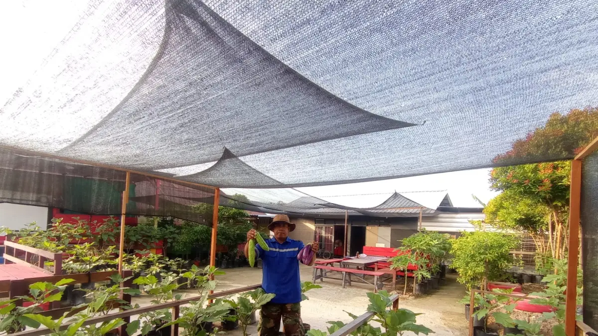 Bayu saat di pekarangan rumahnya, yang disulapnya jadi kebun mini