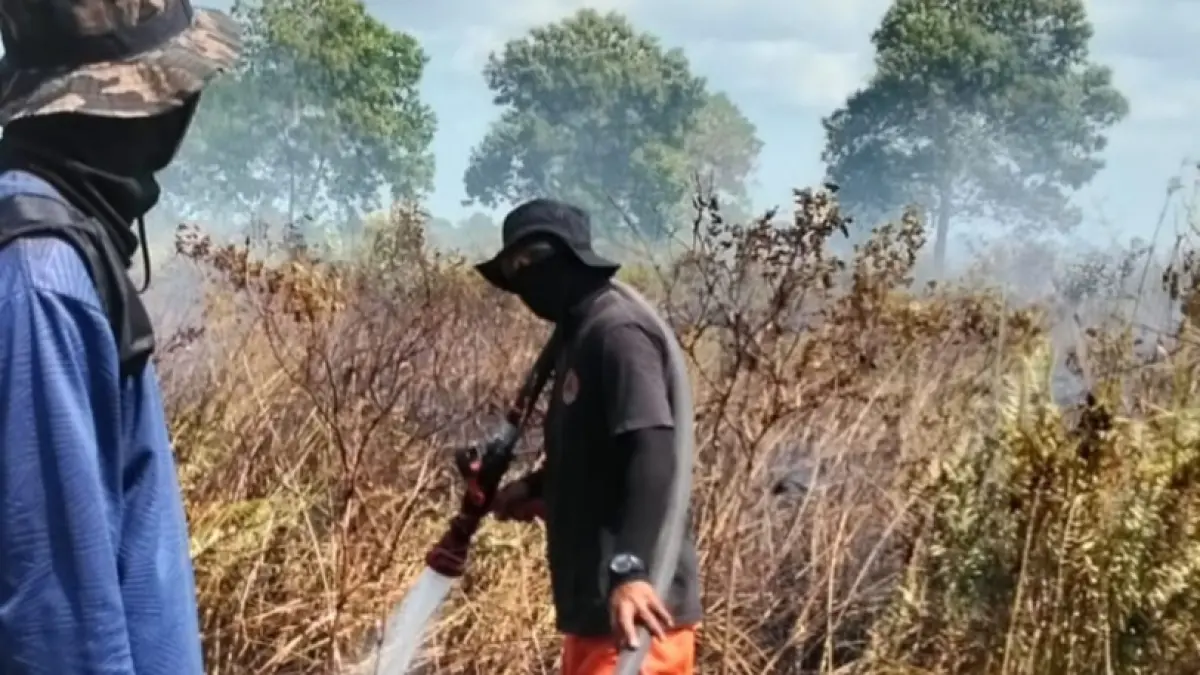 Cuaca panas menyebabkan potensi terjadinya kebakaran hutan dan lahan yang mengancam wilayah Sukamara. (FAUZIANNUR/RADAR SAMPIT)&nbsp;