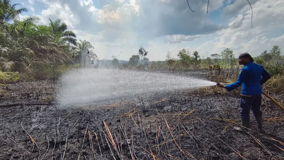 Semak yang terbakar di Desa Sebabi, Kecamatan Telawang, Minggu (26/7/2026). (Disdamkarmat Kotim)