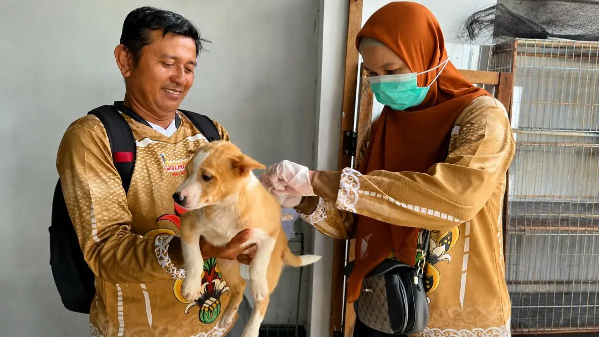 VAKSINASI: Petugas DPKP Kotim vaksinasi hewan sebagai upaya pencegahan penyebaran rabies, belum lama tadi. FOTO: DPKP KOTIM/ RADAR SAMPIT 