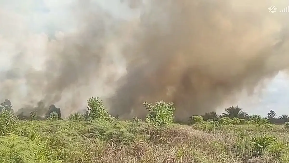 Kebakaran lahan di Lingkar Kota Selatan Sampit, Kecamatan Mentawa Baru Ketapang, Kamis (30/7/2). (BPBD Kotim)