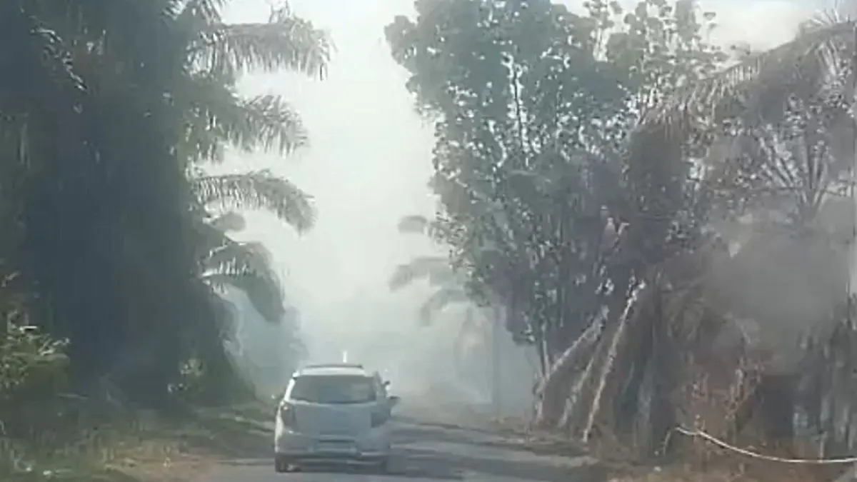 Kebakaran lahan di tepi Jalan Tjilik Riwut Kilometer 8 masih menyala dan masih mengeluarkan asap tebal. Setelah sebelumnya sempat ditangani oleh petugas. (Warga/Radar Sampit)