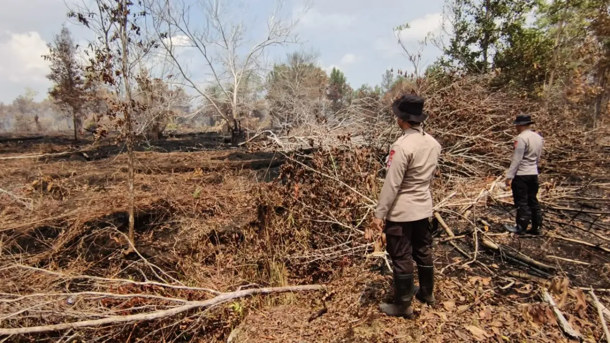 Salah satu kawasan lahan yang terbakar hangus di Desa Tumbang Nusa, Kabupaten Pulang Pisau, Jumat (31/7/2026)