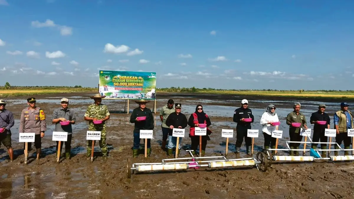 PERTANIAN: Bupati Kotim beserta jajaran melakukan penanaman padi di lahan Kelompok Tani Karya Mufakat VII, Desa Kuin Permai, Kecamatan Teluk Sampit, Jumat (31/7/2026). FOTO: DPKP KOTIM/RADAR SAMPIT 