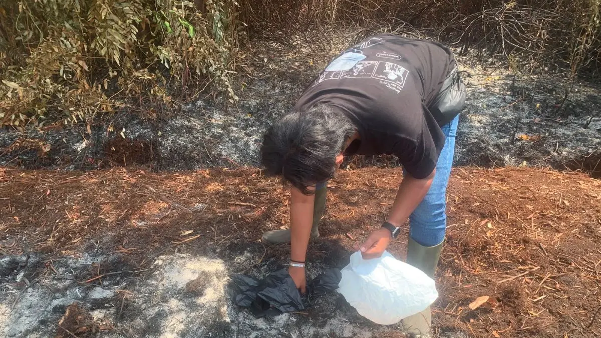 KARHUTLA : Petugas Polres Kotim mengumpulkan barang bukti di lokasi lahan terbakar di Kecamatan MB Ketapang, Sampit, belum lama tadi. FOTO: POLRES KOTIM/RADAR SAMPIT