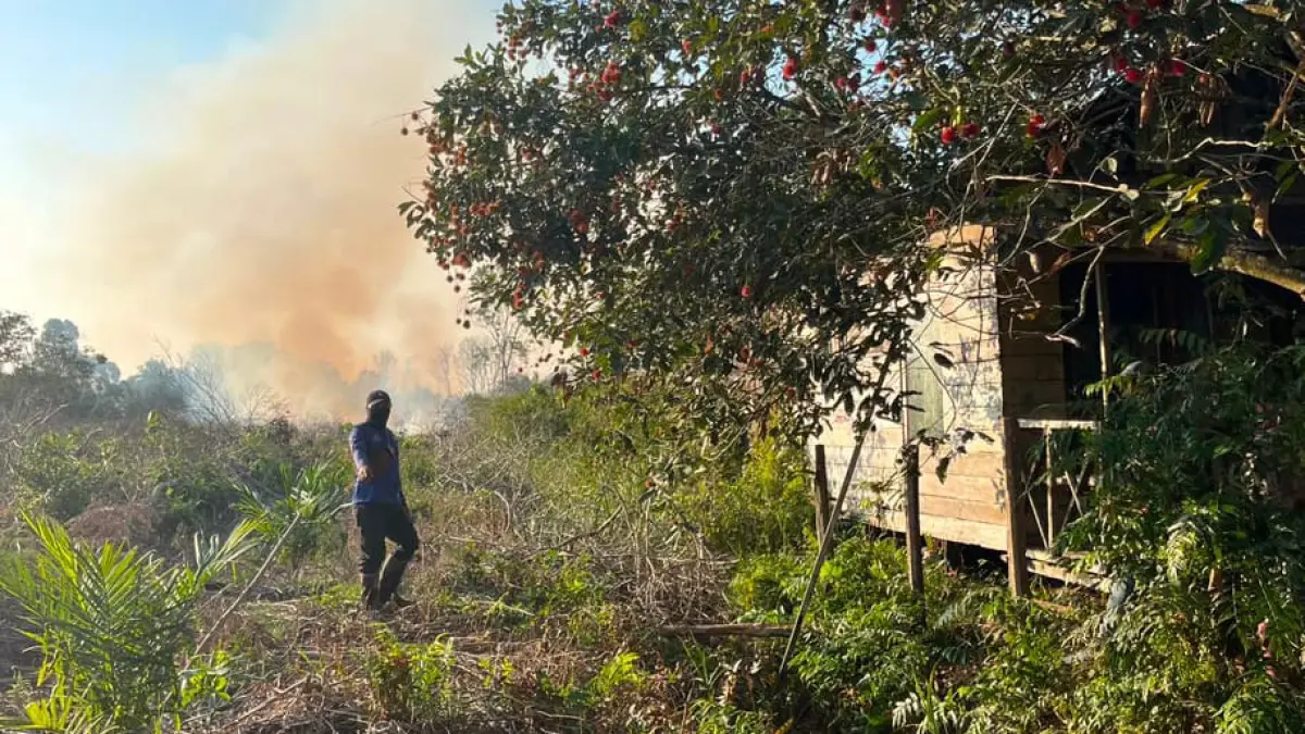 Kebakaran lahan di wilayah Desa Basirih Hilir, Kecamatan Mentaya Hilir Selatan, Kabupaten Kotawaringin Timur, belum lama ini. (Pemadam Kebakaran Pos Sektor Samuda)&nbsp;