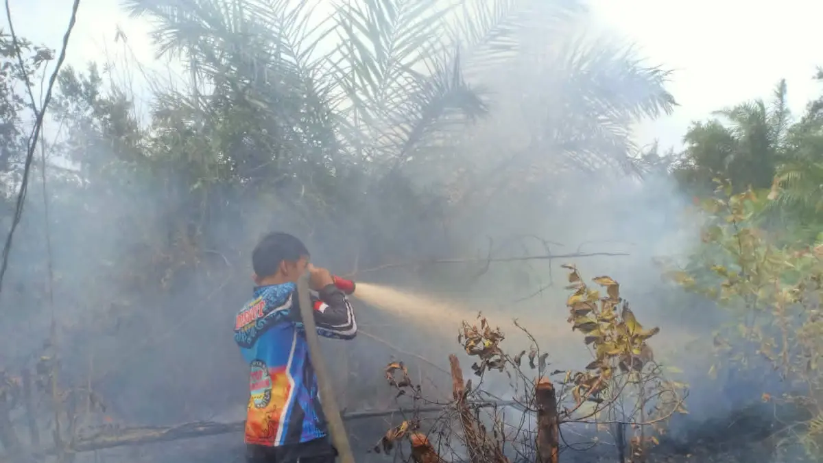 Upaya pemadaman kebakaran lahan yang menghanguskan areal perkebunan warga, belum lama tadi. (istimewa/BPBD)