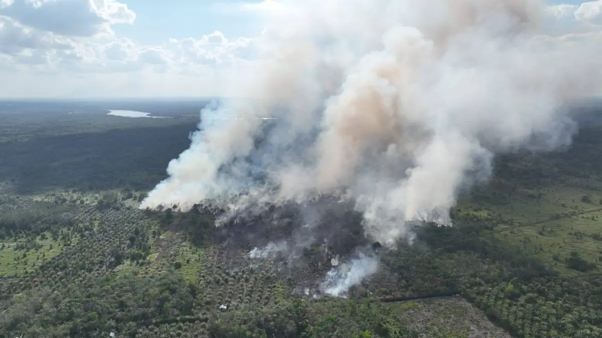 Kebakaran hutan dan lahan di Desa Batuah, Kecamatan Seranau, yang terjadi beberapa hari lalu. Hingga saat ini wilayah tersebut menjadi lokasi paling banyak titik panas di Kotim. (Warga/Radar Sampit)