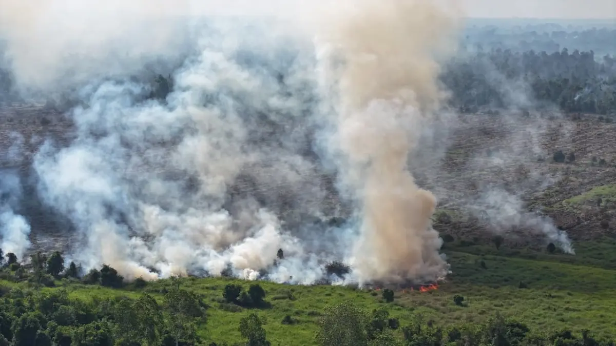 Kebakaran Lahan di seberang Desa Batu Kotam, Kecamatan Bulik, Kabupaten Lamandau baru-baru tadi. (istimewa/BPBD Lamandau)