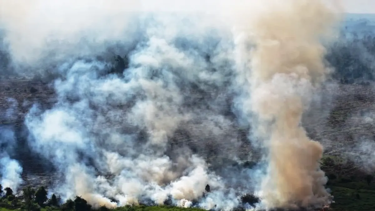 Kebakaran Lahan di seberang Desa Batu Kotam, Kecamatan Bulik, Kabupaten Lamandau, baru-baru tadi. (istimewa/BPBD)
