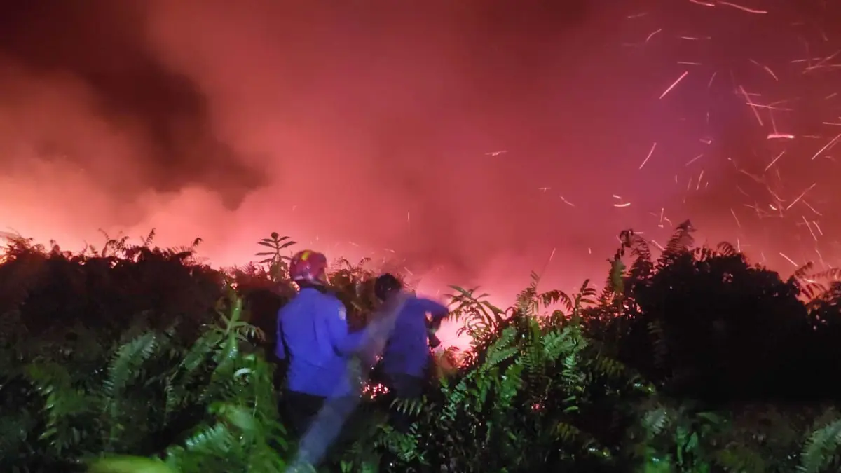 Petugas DIsdamkarmat Kotim saat memadamkan api di lahan yang terbakar malam hari. (Disdamkarmat Kotim)