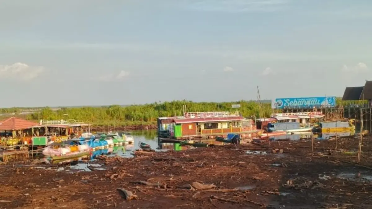 Wisata Air Hitam Sebangau di Palangka Raya, Kalimantan Tengah, mengalami penyusutan debit air akibat musim kemarau. Kondisi tersebut terlihat dari permukaan lahan yang mengering dan menyusutnya area perairan di sekitar lokasi wisata, Minggu (10/8/2026). (ANTARA)