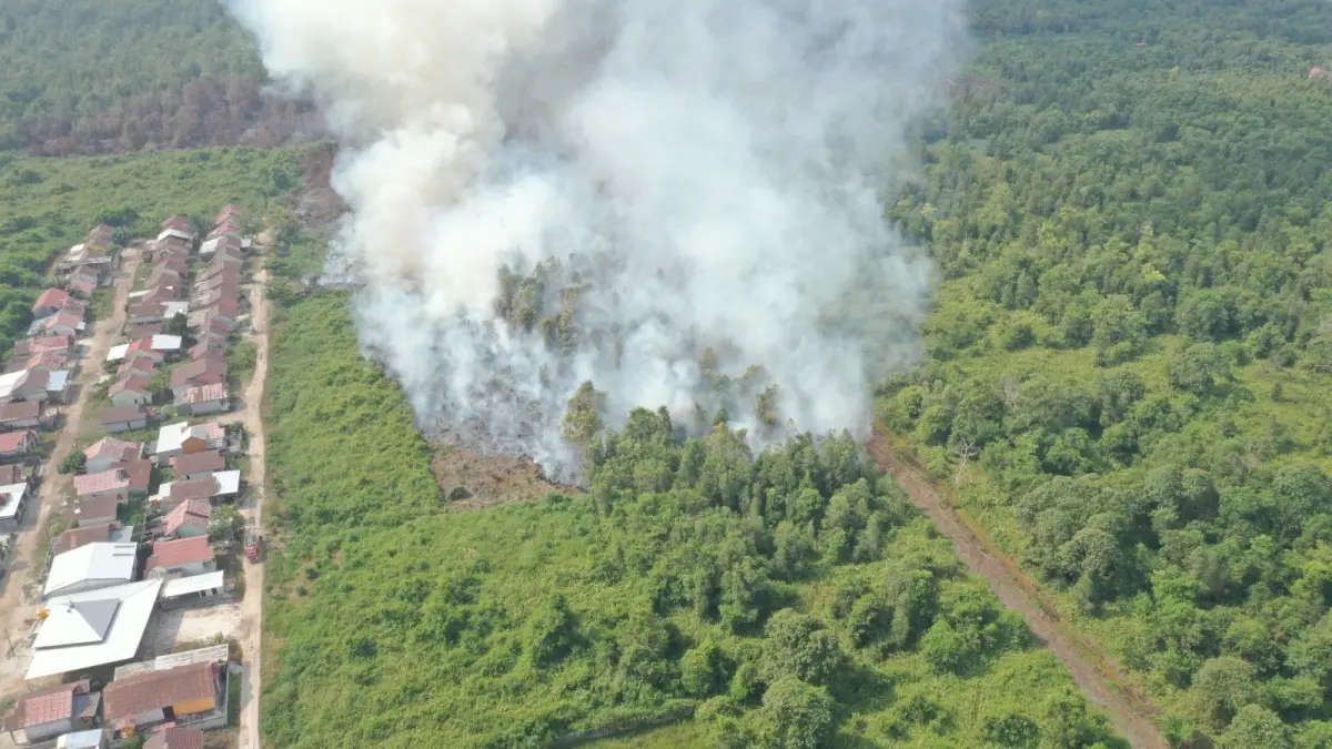 Kebakaran lahan di Jalan Jenderal Sudirman Km 5,5, kawasan Jalan Permai, Kelurahan Pasir Putih, Kecamatan Mentawa Baru Ketapang, Selasa (11/8/2026). (Foto drone Disdamkarmat Kotim)