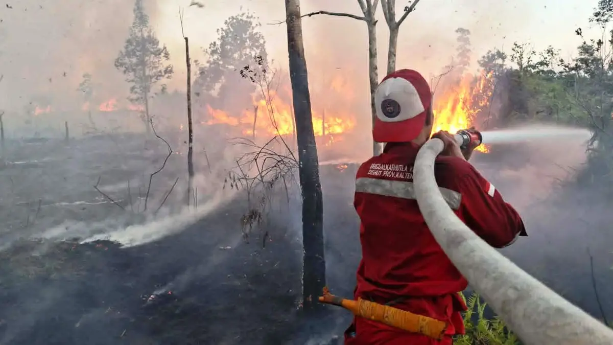 Salah satu anggota tim gabungan saat berusaha menjinakkan api yang membakar salah satu areal lahan di wilayah Kota Palangka Raya, baru-baru tadi.(istimewa/BPBD Palangka Raya)
