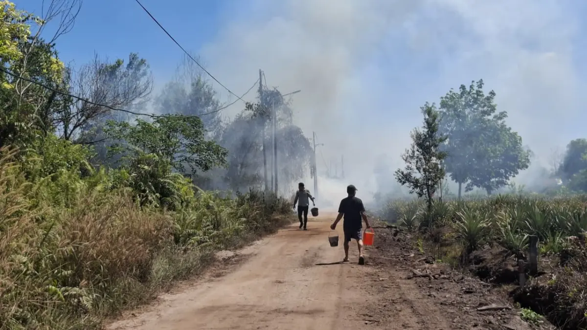Kebakaran hutan dan lahan yang mendekati permukiman warga di kawasan perumahan di Sampit, Kabupaten Kotim.  (Istimewa)