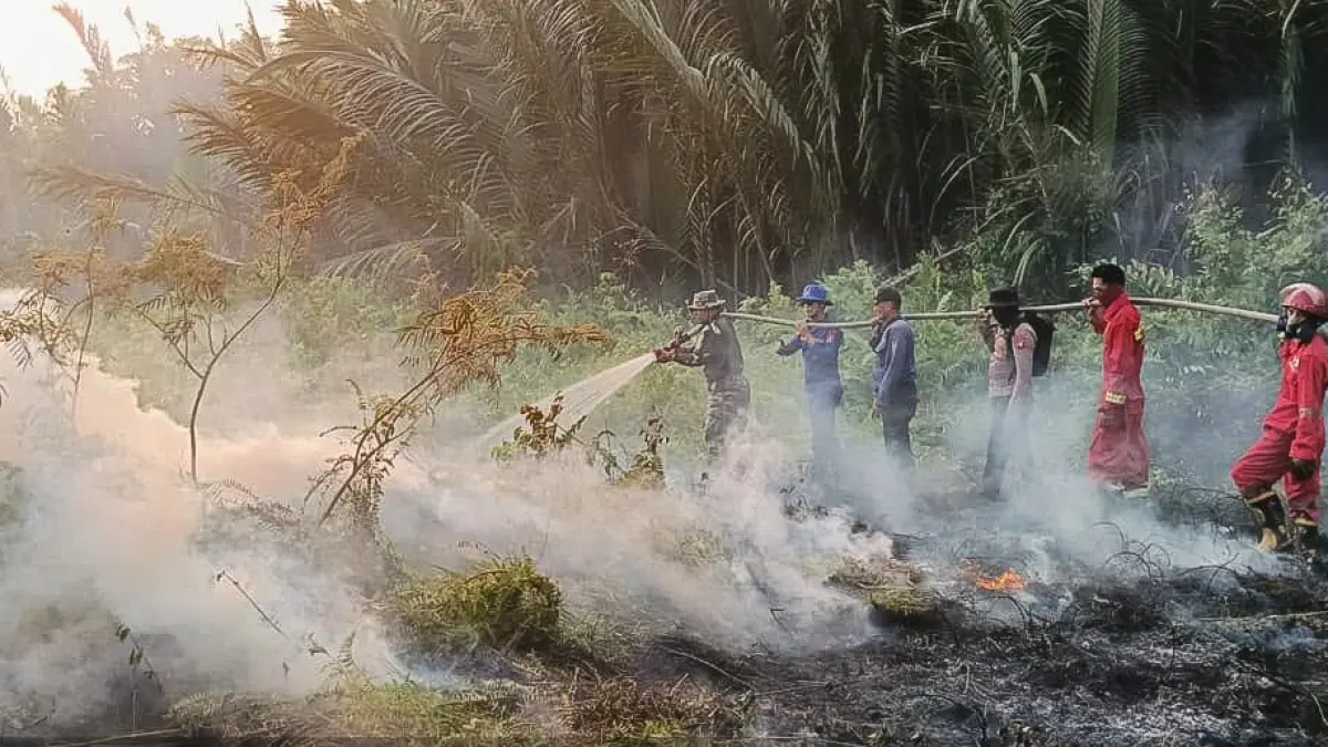 Penanganan kebakaran lahan di wilayah Desa Sungai Tendang, Kecamatan Seruyan Hilir, baru-baru tadi. (istimewa)