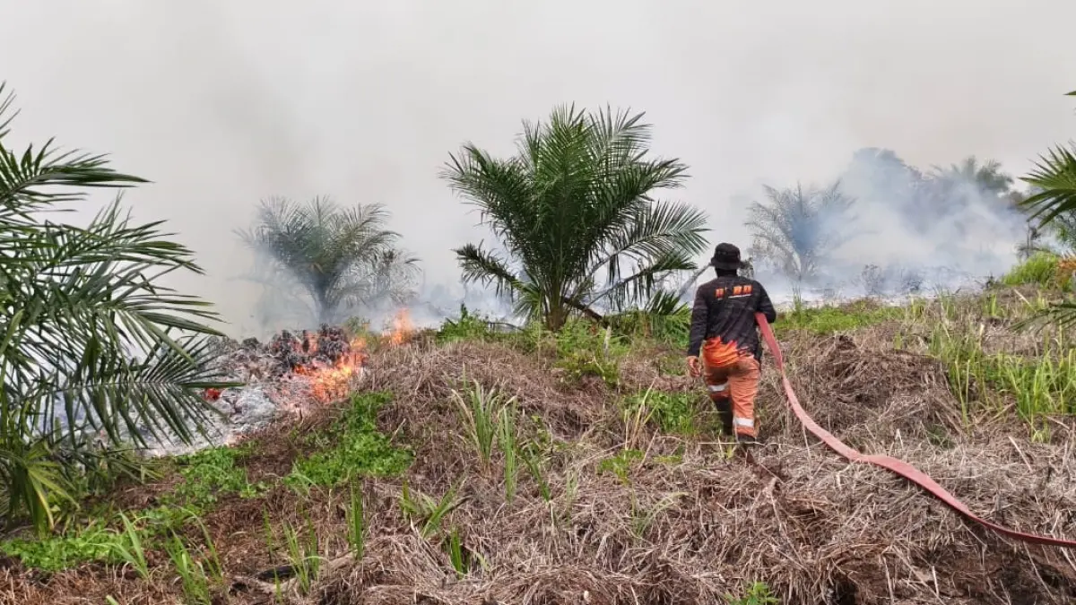 Petugas sedang melakukan pemadaman api&nbsp; di Kotawaringin Barat. (SYAMSUDIN/RADAR SAMPIT)
