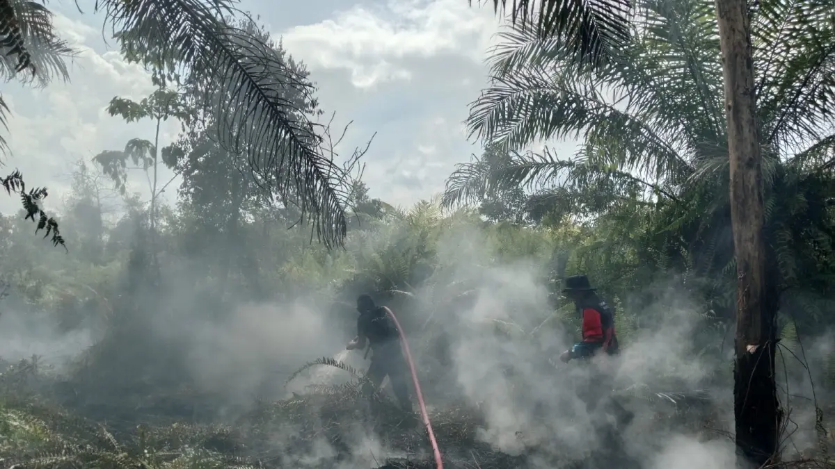 Para petugas tengah berupaya memadamkan api akibat kebakaran lahan di Kotim.  (Dok : BPBD Kotim)