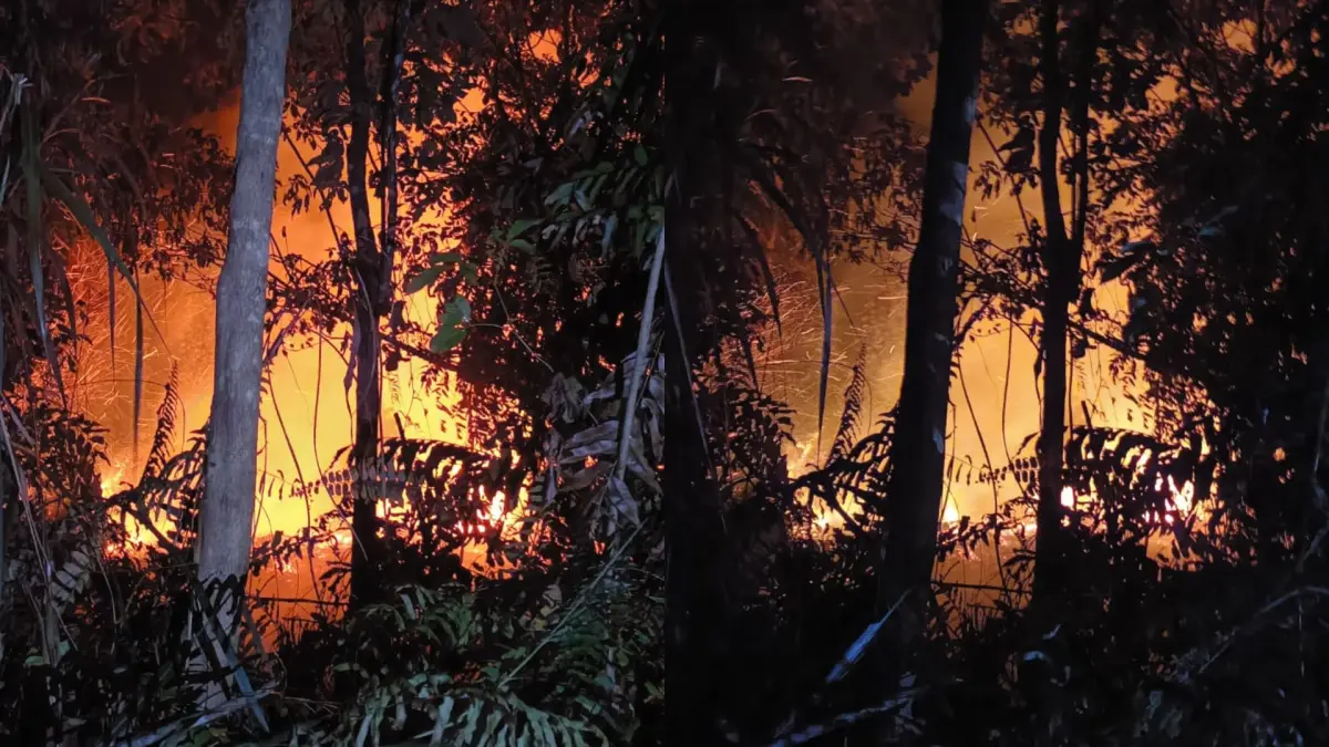 Kebakaran kawasan Hutan Sanggota Kota di Kelurahan Baamang Hulu, Kecamatan Baamang, Kotawaringin Timur, Kalteng, Senin (17/8/2026) (BPBD Kotim)
