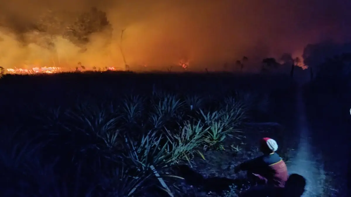 Petani di Jalan Bumi Indah Sampit, terpaksa membakar sebagian lahan untuk menghindari api menjangkau areal pertanian mereka, Minggu malam (17/8/2026). (Usay Nor Rahmad/Radar Sampit)