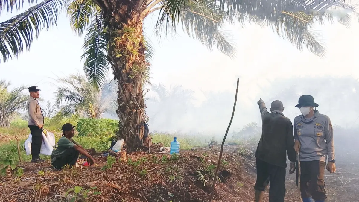 Kebakaran hutan dan lahan merambah ke kebun kelapa sawit milik warga di wilayah Desa Bapingang Hulu, Kecamatan Pulau Hanaut, Kabupaten Kotawaringin Timur, Selasa (18/8/2026). (Damkar Pos Sektor Samuda)