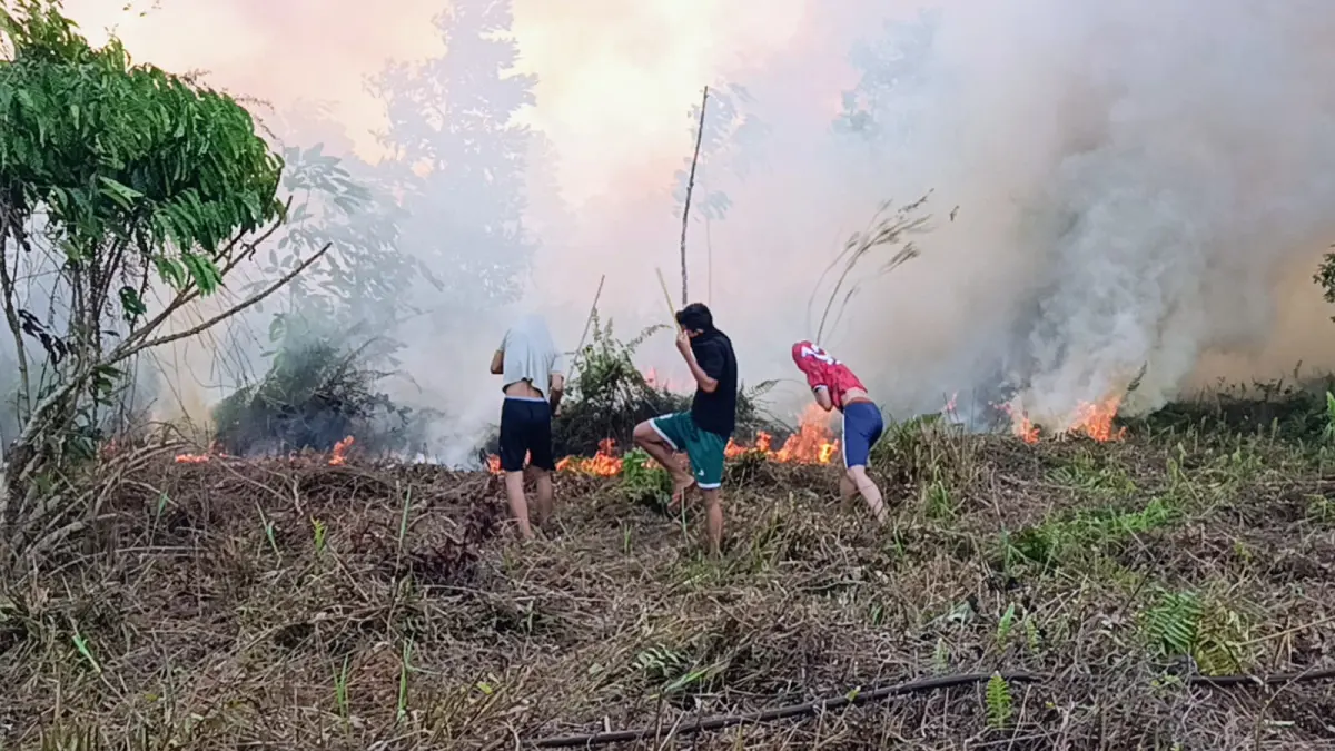 Sejumlah remaja turut memadamkan api menggunakan ranting pohon untuk mehalau laju penyebaran kebakaran lahan di salah satu wilayah Kecamatan Mentawa Baru Ketapang, baru-baru ini. (Usay Nor Rahmad/Radar Sampit)&nbsp;