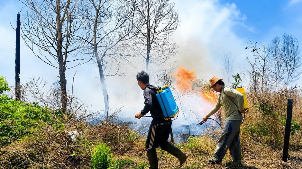 Warga di Desa Bagendang Tengah Kecamatan Mentaya Hilir Utara, dengan peralatan seadanya berusaha memadamkan kebakaran lahan, Rabu (19/8). (istimewa)