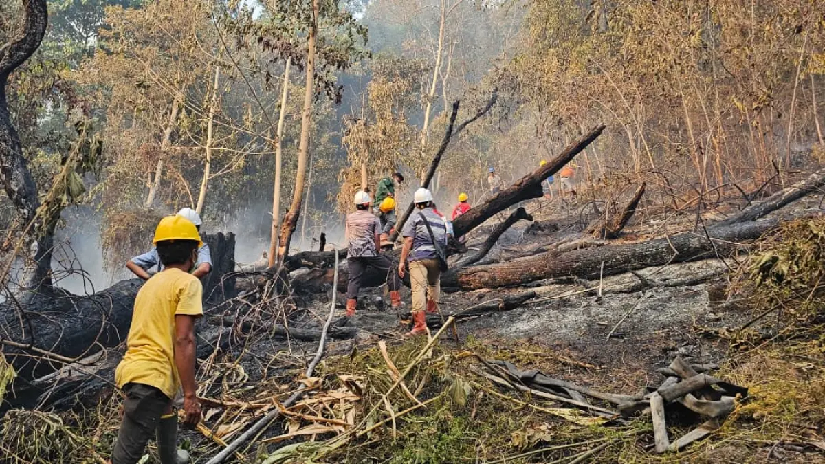Tim dari PT Pilar Wanapersada berusaha padamkan api di Bukit Pendulangan Desa Suja