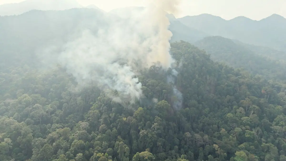 KEBAKARAN: Hutan di Bukit Sebayan, Kecamatan Delang, Kabupaten Lamandau, Kalimantan Tengah terbakar. Kobaran api mengancam kawasan hutan lindung. FOTO: IST/RADAR SAMPIT