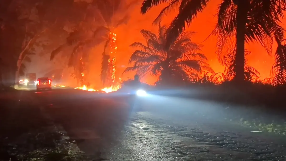 Kebakaran lahan mengerikan terjadi di tepi Jalan Sampit-Kota Besi, tepatnya sekitar Kilometer 8, Senin (24/8) petang.&nbsp;