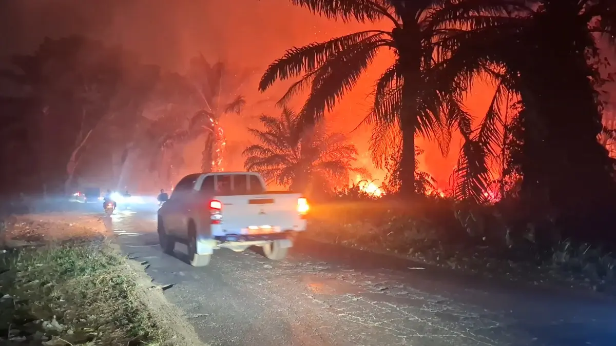 Lahan yang kembali terbakar hebat mengepung sekitar Jalan Sampit-Kota Besi (Tjilik Riwut) kilometer 7-8, pada Senin  (24/8) malam. (istimewa)