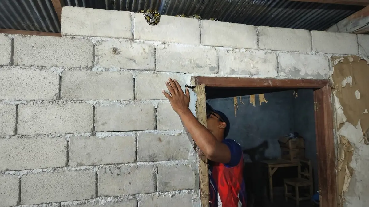 TEROR ULAR: Tim Rescue mengevakuasi ular sanca panjang 1 meter di rumah warga Jalan Ahmad Yani, Gang Perumahan Griya Bumi Permai, Kelurahan Baru, Kecamatan Arut Selatan, Kobar, Senin (24/8/2026) dini hari. FOTO : DAMKAR KOBAR/RADAR SAMPIT
