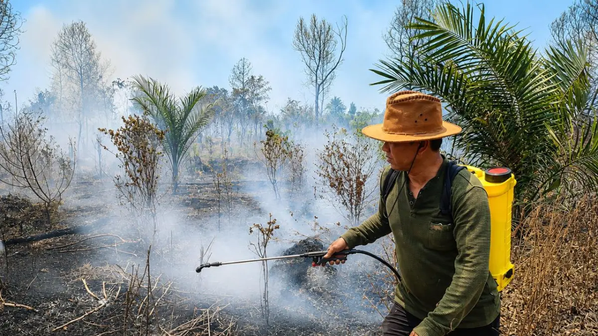 Warga di Kabupaten Kotawaringin Timur (Kotim), dengan peralatan seadanya, berusaha mencegah meluasnya kebakaran di areal perkebunan sawit mereka, baru-baru tadi. (ist)